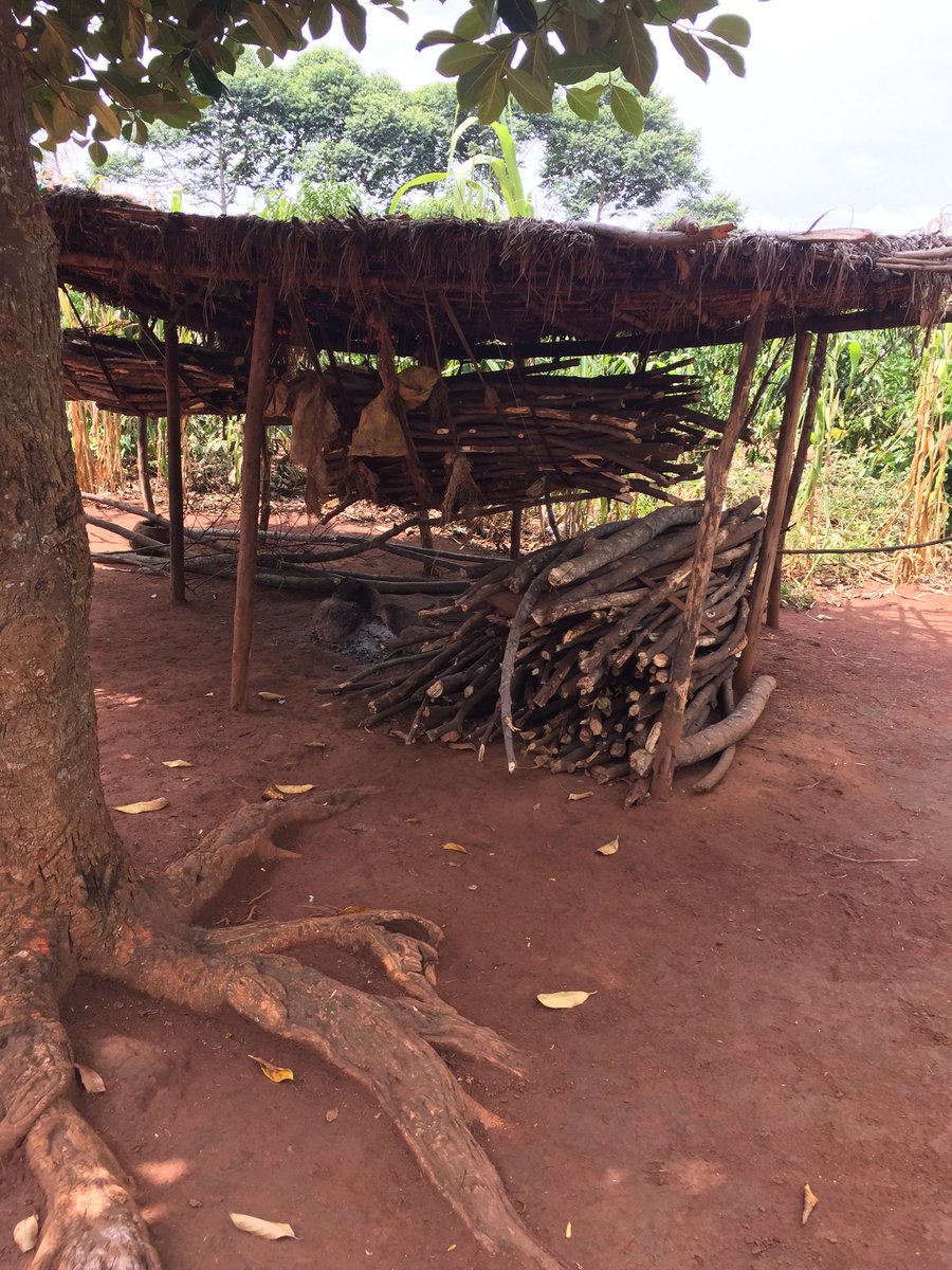 DavidKisakye8's tweet photo. Despite efforts by rural households to stockpile wood fuel amidst the novel Covid19 pandemic so as to limit movement and exposure to infection, cookstoves remain too inefficient to leverage the effort. https://t.co/bM0vAel9BV
