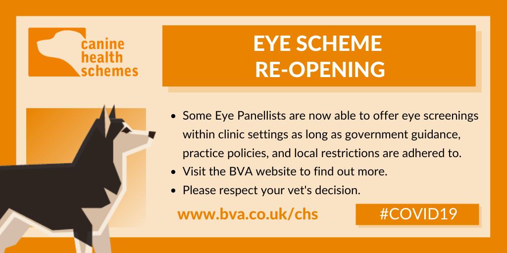 Our #CanineHealthSchemes eye screening has resumed and some eye panellists are now able to offer screening. Please note that we're currently working through a backlog of submissions so there will be a delay. For more information, see: bva.co.uk/canine-health-…