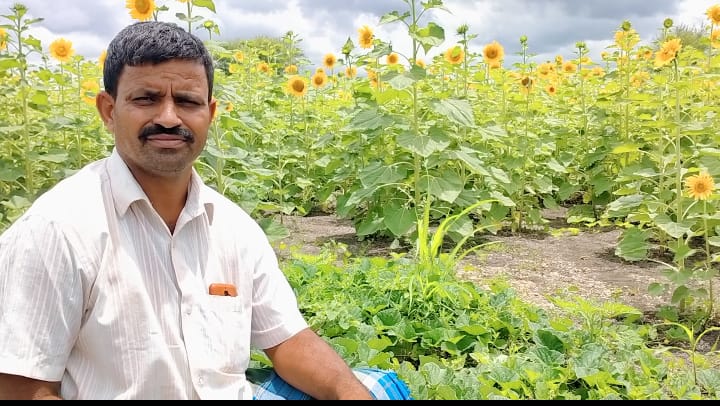 VBGRAMGKAR's tweet photo. Sri. Kotraiah, a farmer who constructed a #farm_pond under #MGNREGS is now leading a life of content!
The #farm_pond helped him grow #sunflower 🌻 in his 3.5 acre land. He is sure of a good profit.
All thanks to the #MGREGA #farm_pond
Mahajanahalli GP, Hadagali taluka, Bellary https://t.co/5iO0Zr3VaX