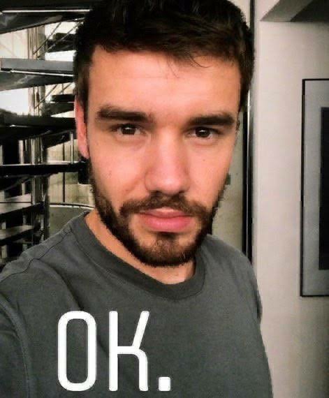 A LIAM PAYNE MEME THREAD THAT NO ONE ASKED FOR 