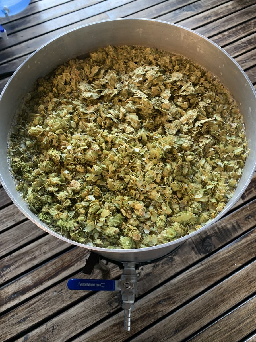 PachaBeer's tweet image. Hazy IPA (B/A BSG 2020, GI-E), D.O.: 1063, SRM: 8, amargor medio con 5gr/lt de lúpulo Amarillo 🇺🇸, todo en whirlpool. A fermentar...
