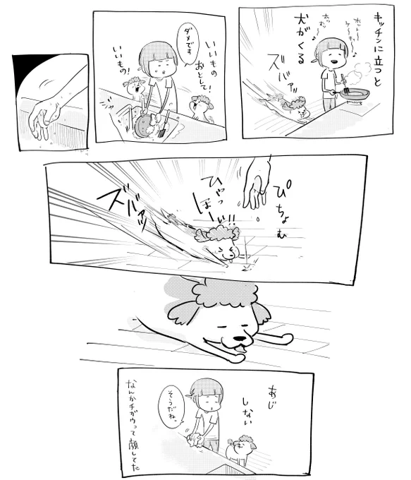 キッチンと犬 