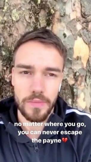 A LIAM PAYNE MEME THREAD THAT NO ONE ASKED FOR 
