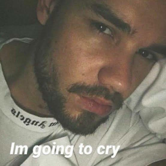 A LIAM PAYNE MEME THREAD THAT NO ONE ASKED FOR 