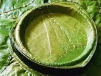 पत्तलHindu customs requires one to eat on a leaf plate. This is the most eco-friendly way as it does not require any chemical soap to clean it and it can be discarded without harming the environment.banana; palash leaves.