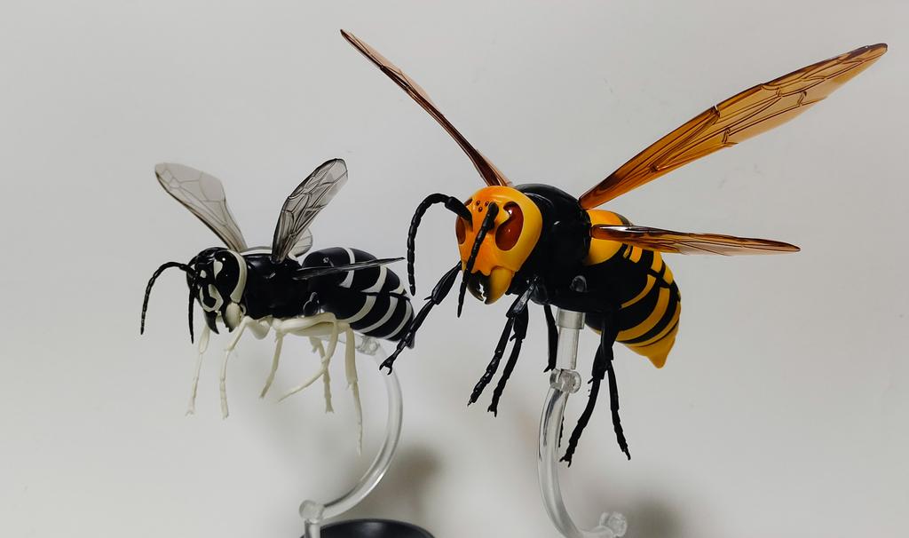 最も欲しかった かっこいい スズメバチ 蜂 イラスト クールで美しさのアニメーション
