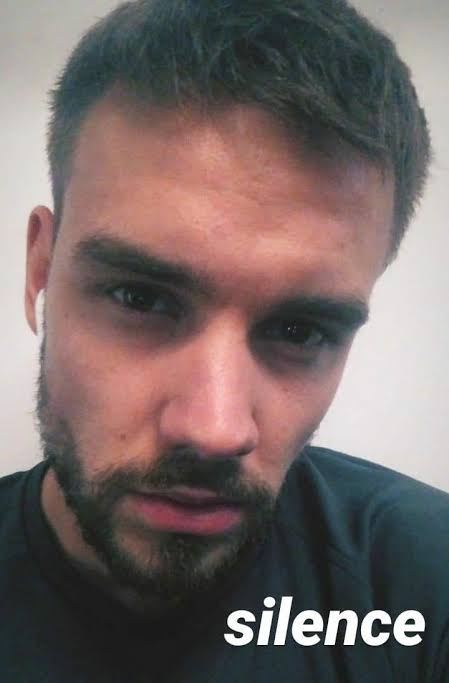 A LIAM PAYNE MEME THREAD THAT NO ONE ASKED FOR 