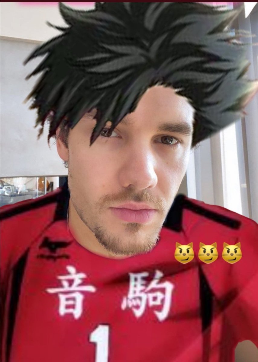 A LIAM PAYNE MEME THREAD THAT NO ONE ASKED FOR 