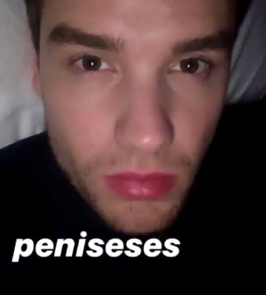 A LIAM PAYNE MEME THREAD THAT NO ONE ASKED FOR 