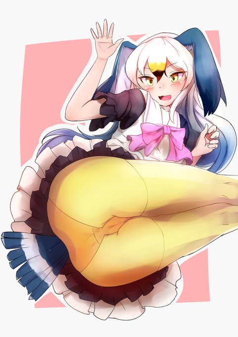 ウミネコちゃんおえかき
実装まだですかね・・・ 