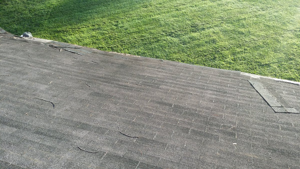 Okay on top of things early--try to beat the heat.Someone let 2 cedars grow up right next to the house, rotting detrius built up and allowed kudzu vies to take hold and grow up under the shingles  So inclearing that away I found rotten boards...under 6 layers of shingles!