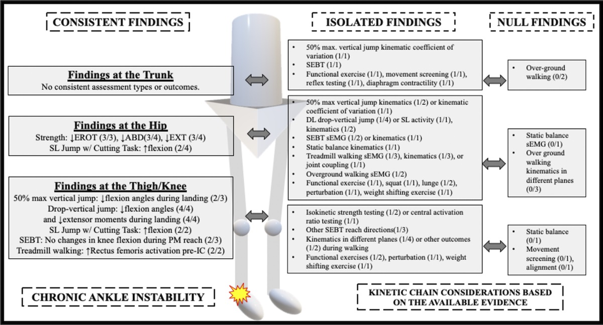 MSSEonline's tweet image. Proximal Adaptations in Chronic Ankle Instability: Systematic Review and Meta-analysis by Dejong &amp;amp; colleagues: journals.lww.com/acsm-msse/Full…