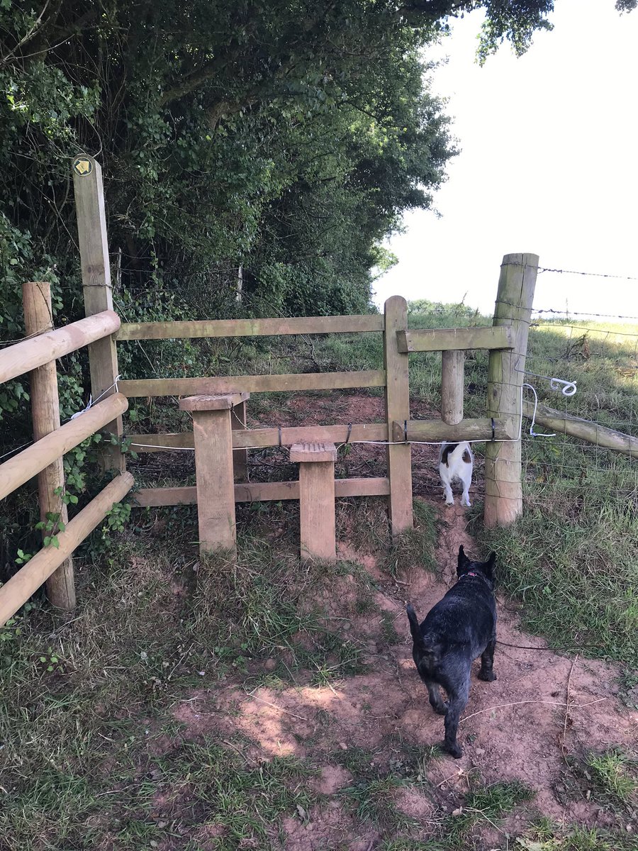 QuickesCheese's tweet photo. It’s a beautiful day to explore the public footpaths that go across the Quicke’s Estate.☀️Here are some of our favourite walks: https://t.co/KKkm1x1vqI #quickes #devon https://t.co/b0j0DfPA0x