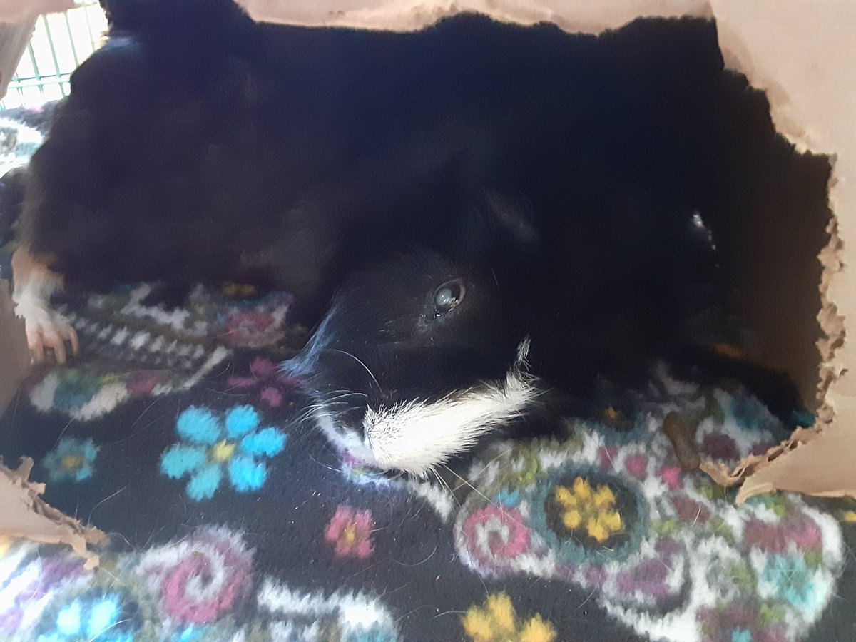 im_still_hungry's tweet image. #peeg #nap