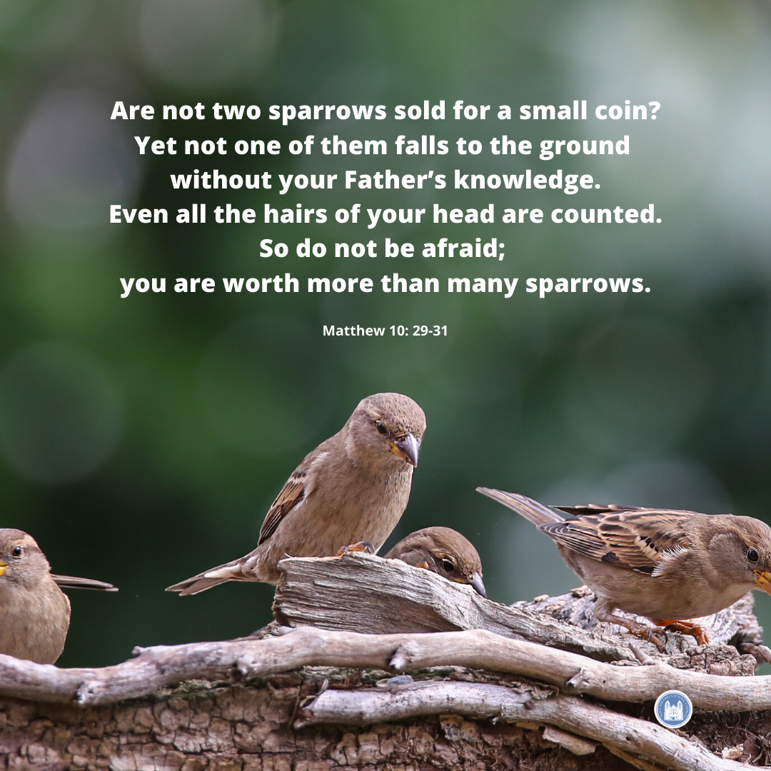 St Michael Livermore tweet media