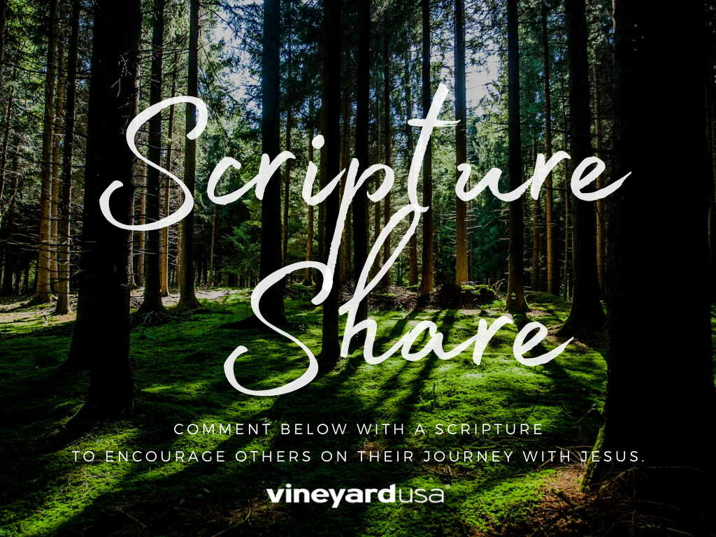 vineyardusa's tweet photo. The Word of God is both anchoring and transforming. When we feed on the Word on a daily basis, it is real food for our souls.
#ScriptureShare #VineyardUSA #VineyardGlobalFamily https://t.co/V37yQXYvVZ
