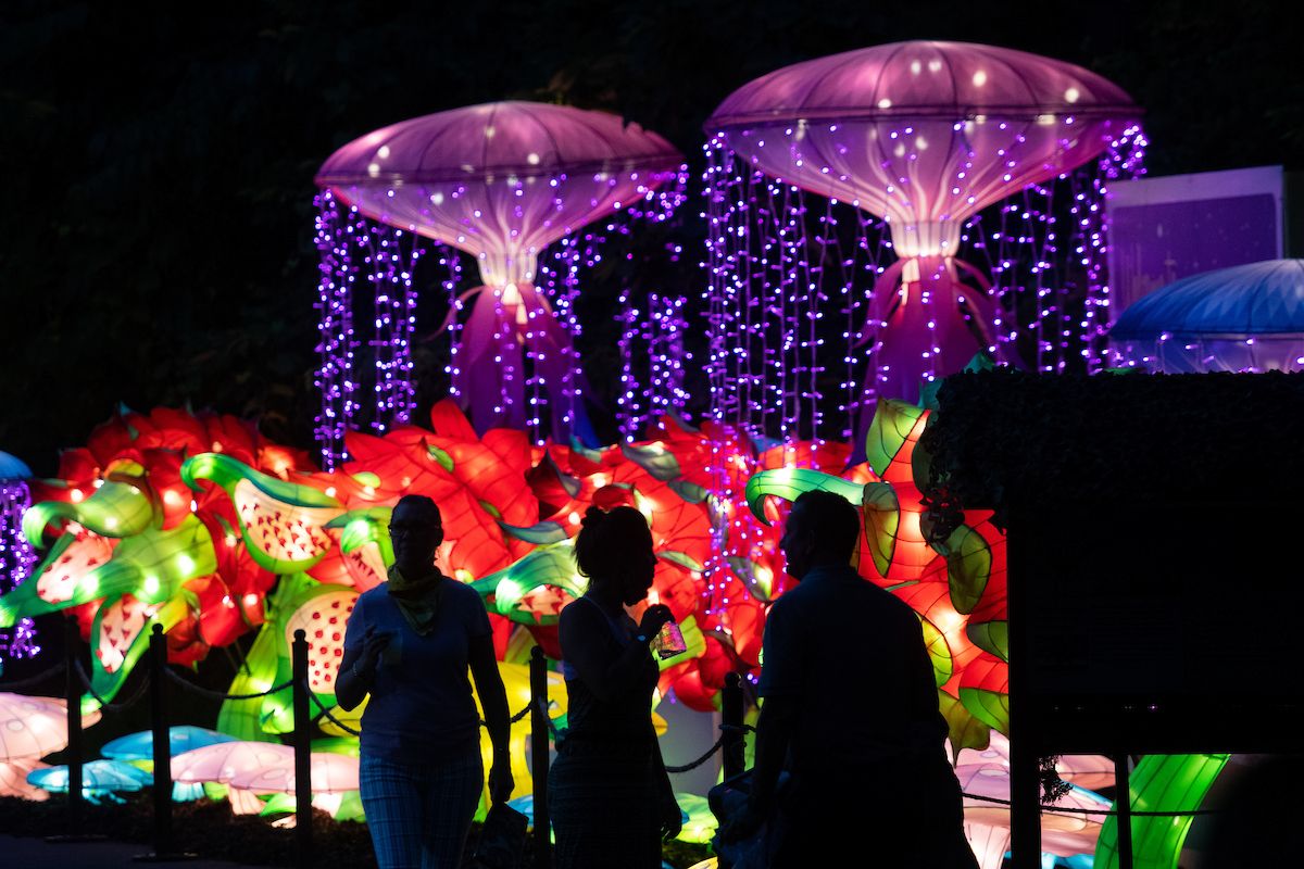 clemetzoo's tweet photo. IT'S BACK: #AsianLanternFestival presented by @CleClinicKids returns bigger than ever with more than 70 never-before-seen lantern displays, acrobatic performances on the @FifthThird Stage, interactive experiences &amp; culturally-inspired cuisine. Tix at https://t.co/0v1cZtgEj1. 🏮 https://t.co/RTntx8KAWD