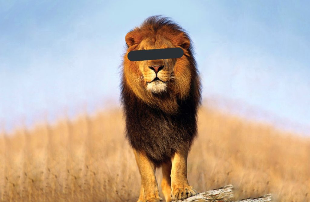 Als iemand kan raden wat voor dier dit is ga ik vanavond kanker dronken worden