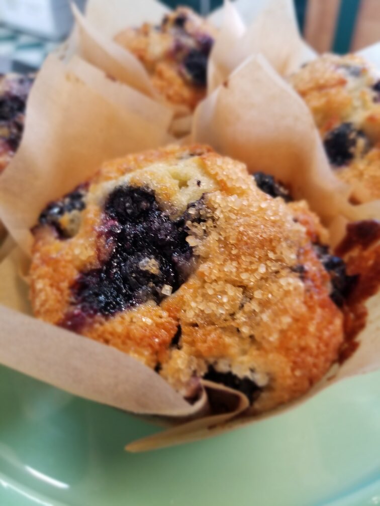 National Blueberry Muffin Day on July 11th gives us a great reason to get up in the morning and celebrate! Enjoy one today with our muffin &amp; coffee special only $3.00, all summer long! ☕️
