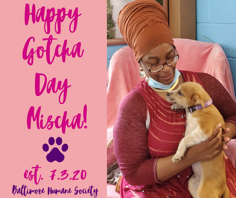 bmorehumane's tweet photo. Sweet puppy Mischa! We wish her and her new mom an AMAZING life together! π Adopt. Support. Give. https://t.co/7RlTUsLYxP
#BaltimoreHumane
#DogsofBaltimore
#AdoptAShelterDog https://t.co/p73kz5G76d
