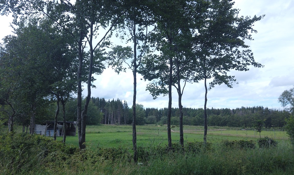 GazorTrail's tweet photo. https://t.co/ex6oZt2xEI #exploring #valley #backcountry #bush #backpack #hiking #camping #tent #walking #camping #trails #trailgazor #views #amazing #nature #forest #village #germany #belgium #border https://t.co/rOfEHZDcYm