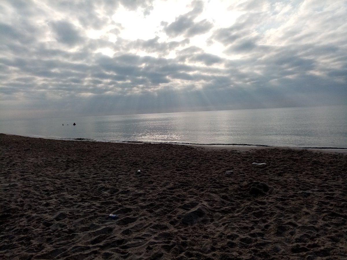 chaimanechi3's tweet image. #tazarka 😍😍❤️