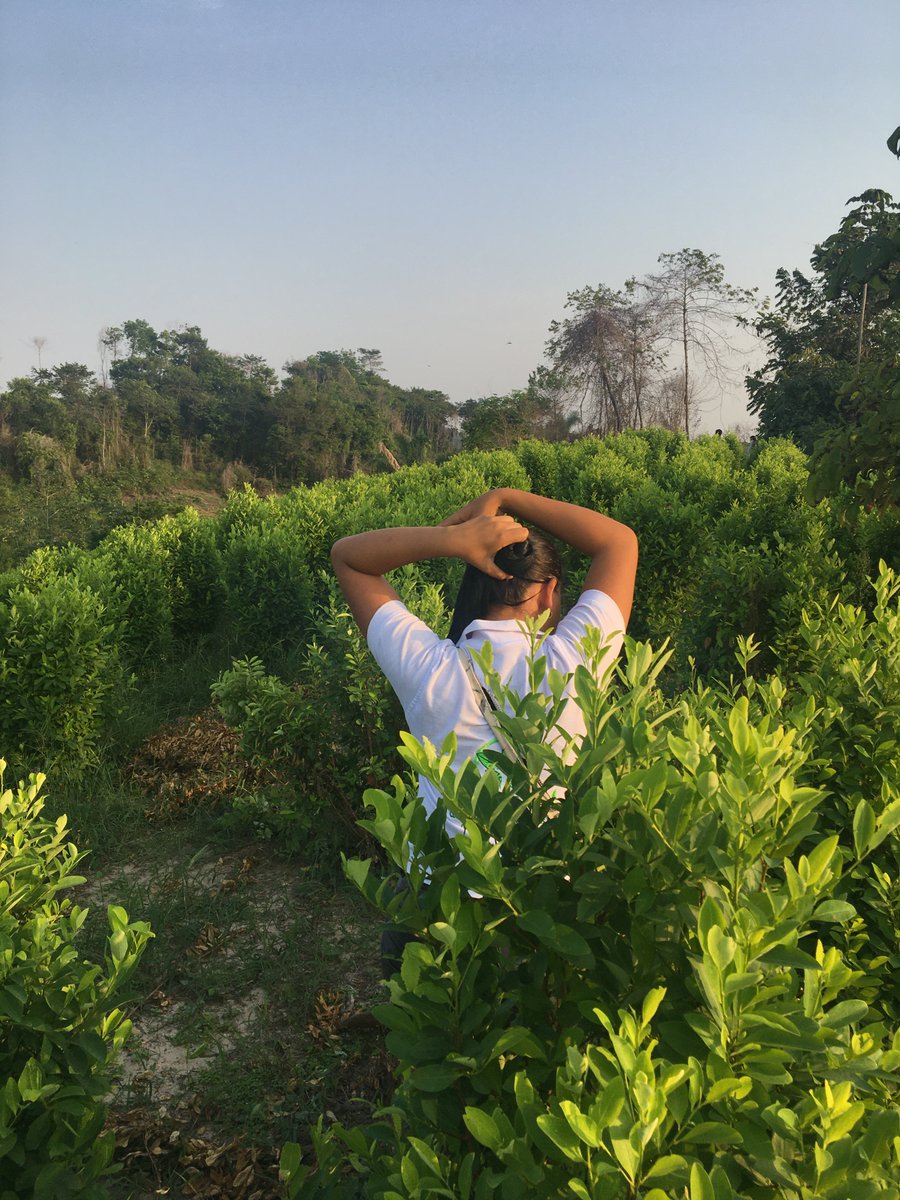 What else? We collected so much material that there are at least two more stories coming. Stay tuned.