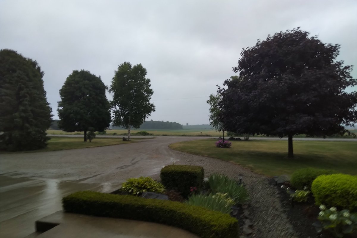 Normally a dank, dreary, rainy morning like this is depressing; NOT TODAY! 😄#rain