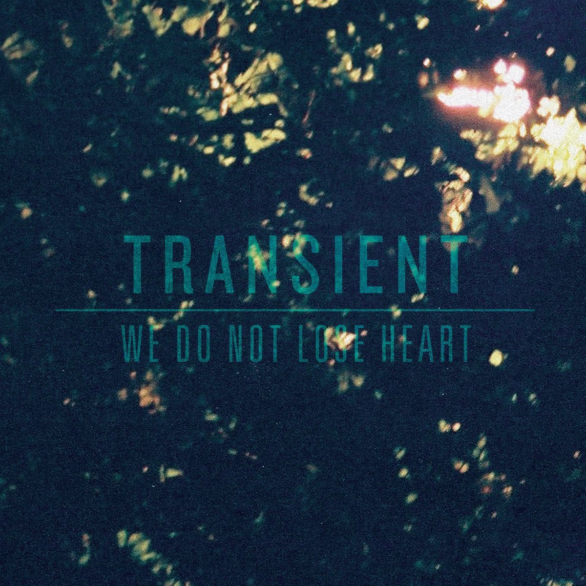 transientsc tweet picture