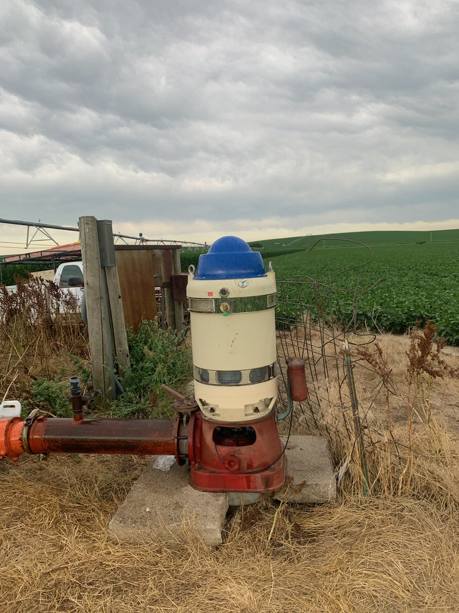 directpivotpart's tweet photo. We have been installing some Bmr motors lately had great luck way more heavy duty than us. Also way better price point. #irrigation #directpivotparts #centerpivot #centerpivotirrigation #centerpivotparts #senninger #xcad #icii #bmr #irrigate20 #irrigator #durst #irrigation20 https://t.co/GKgrblAmjY