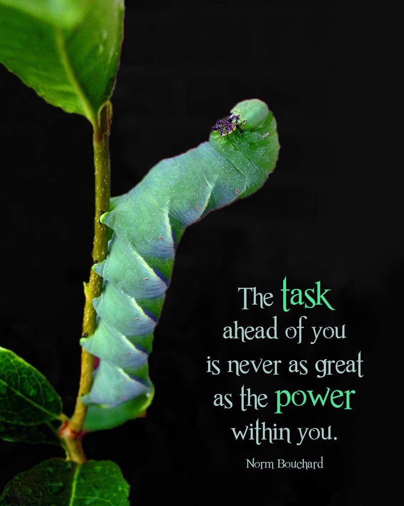 DaveDavenport_'s tweet photo. Stay strong! Strive for greatness! https://t.co/JM3MgffZq1