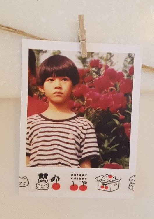 tissflower's tweet photo. 🌻HEE DAY🌻

체리에이드 먹었으니 이번엔 🐶기복라떼!
폴라가랜다😭😭 애기때 사진부터 데뷔초 그이후 사진들까지 하나같이 다 예뻐서 내방을 저리 채워봤으면 했따ㅠㅠ(언젠간 해보리라..ㅎ!)그리고 희님인형 어깨위 해바라기 마저 졸귀탱🤭 너마저도 사랑스럽구낭

#희철아_내일도_변함없이_사랑해 https://t.co/hec6ETY6sT