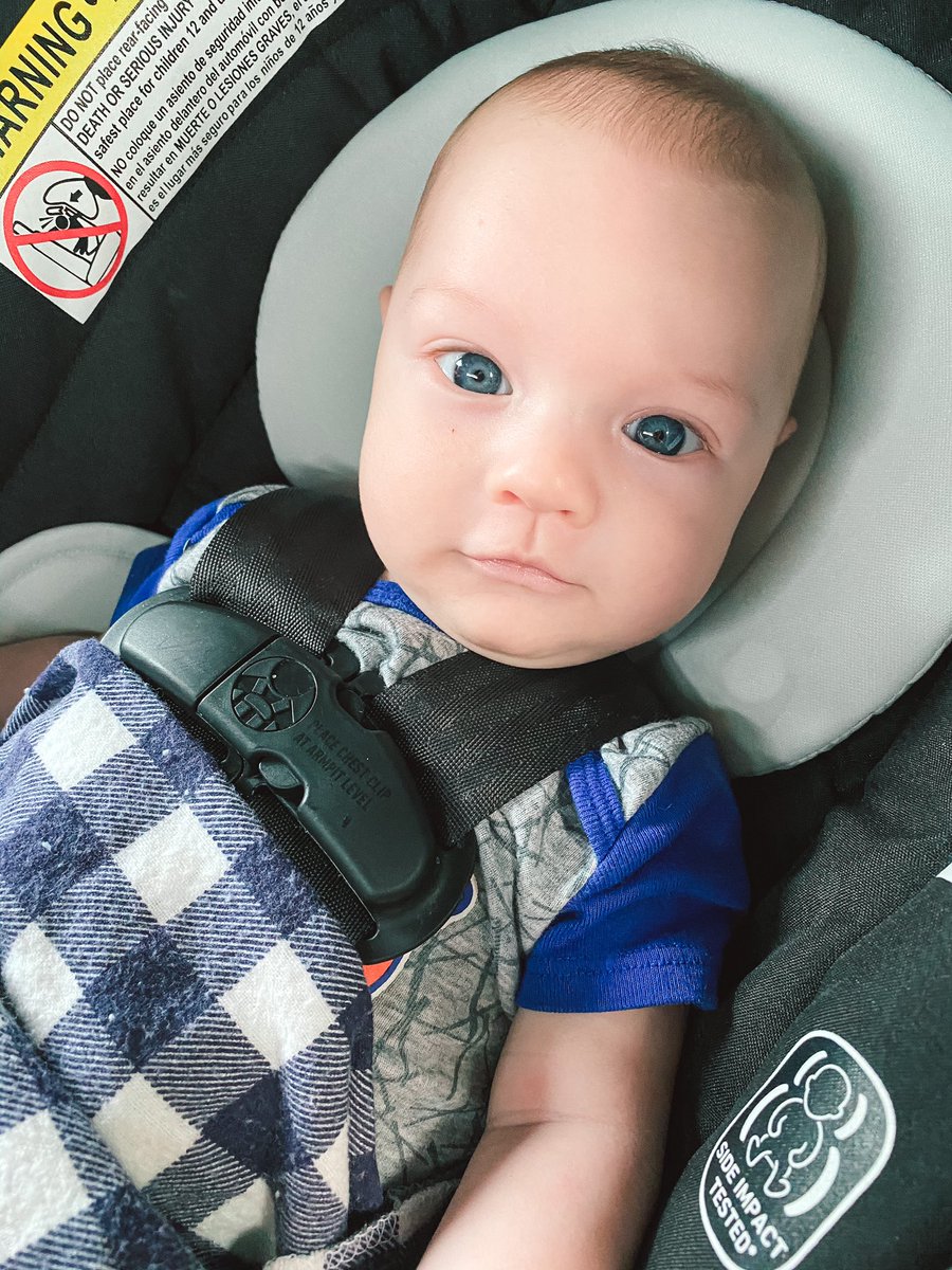 CurtisAlexandra's tweet photo. My littlest love 🤍 https://t.co/S29qtrF6Zt