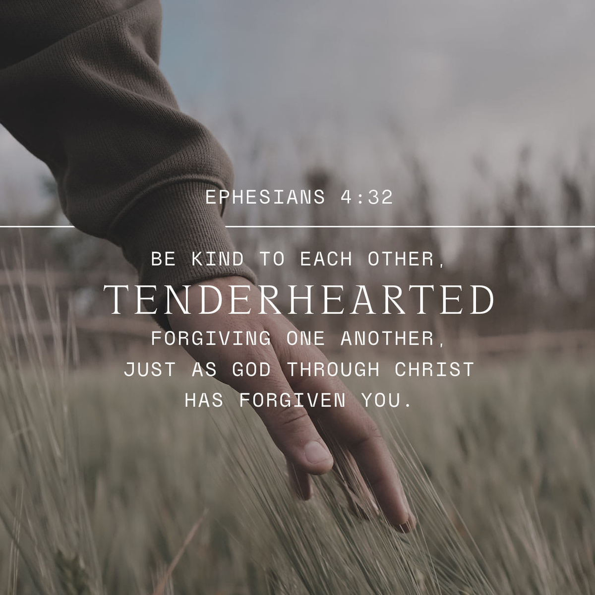 ChosenExplosion's tweet photo. Forgiveness is one of the pillars of Christianity. The forgiveness of God in Christ was given to us freely. As ambassadors of heaven we must display the same amount of grace and mercy to others as Jesus gave us. This is how His Kingdom will come and will be done 🙌 #GodInChrist https://t.co/nD4xi9meqS