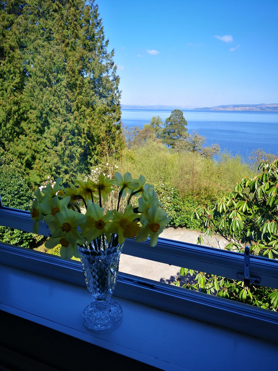 6 days to go and we're busy making sure Stonefieldis safe and ready to welcome our long awaited guests!