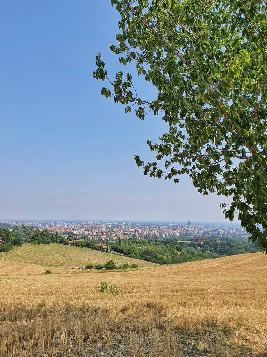 untrolleyperdue tweet media