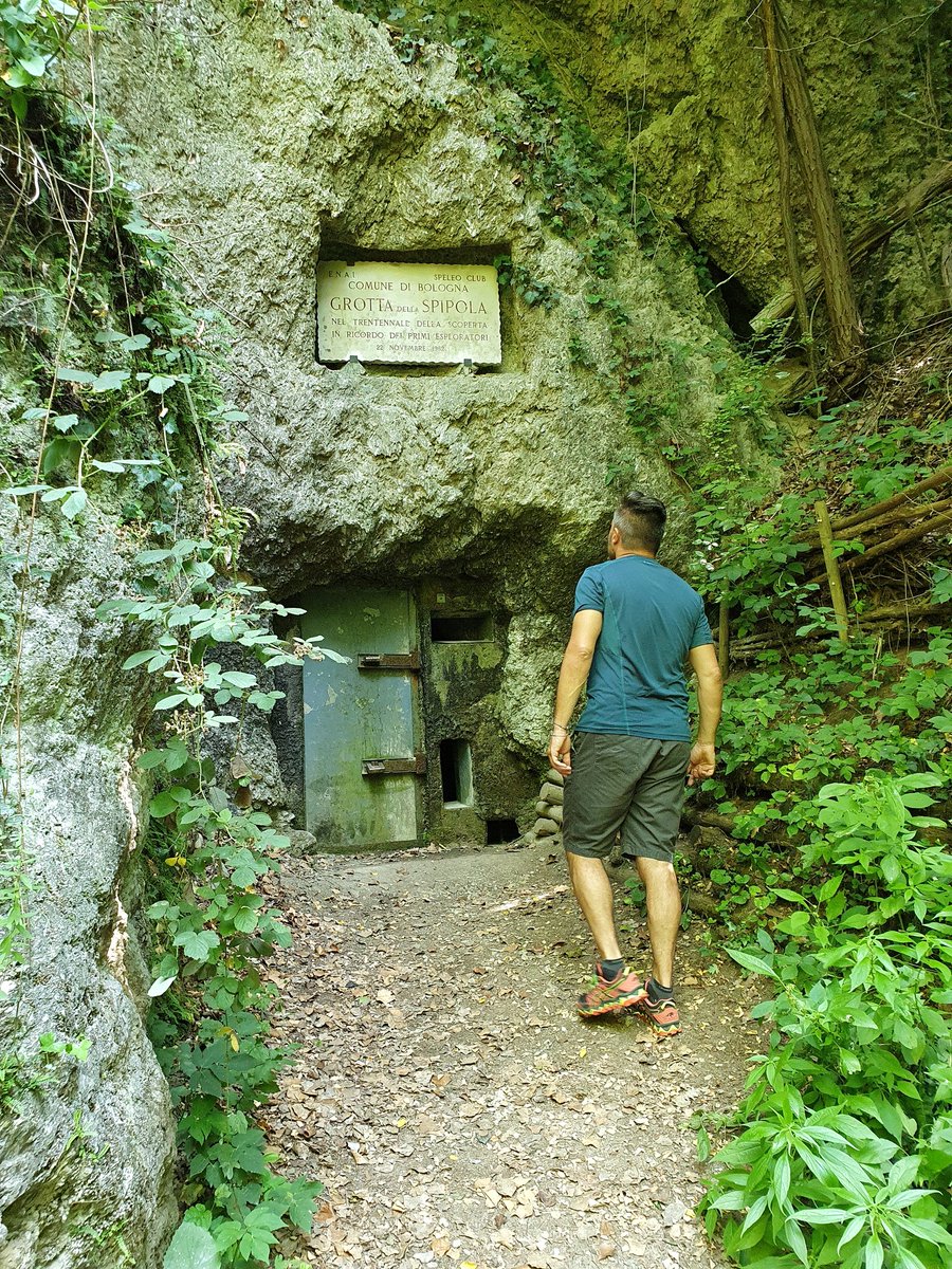 untrolleyperdue tweet media