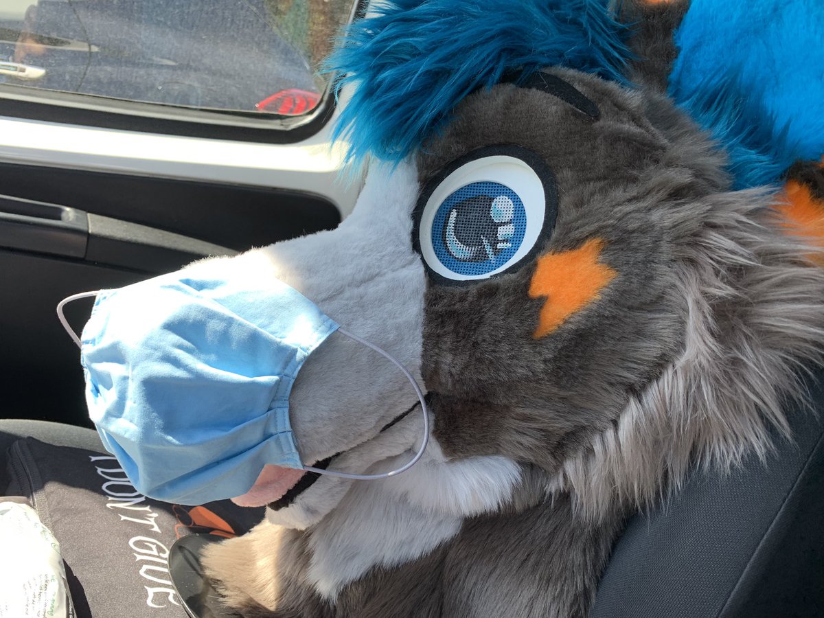 Floofballs need to stay safe as well!
