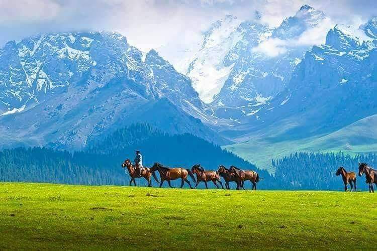 iris_gilyased's tweet photo. #AuthenticNature #NaturePhotography #Mongolia
#AltaiMountains https://t.co/5S5qvz8xZ3
