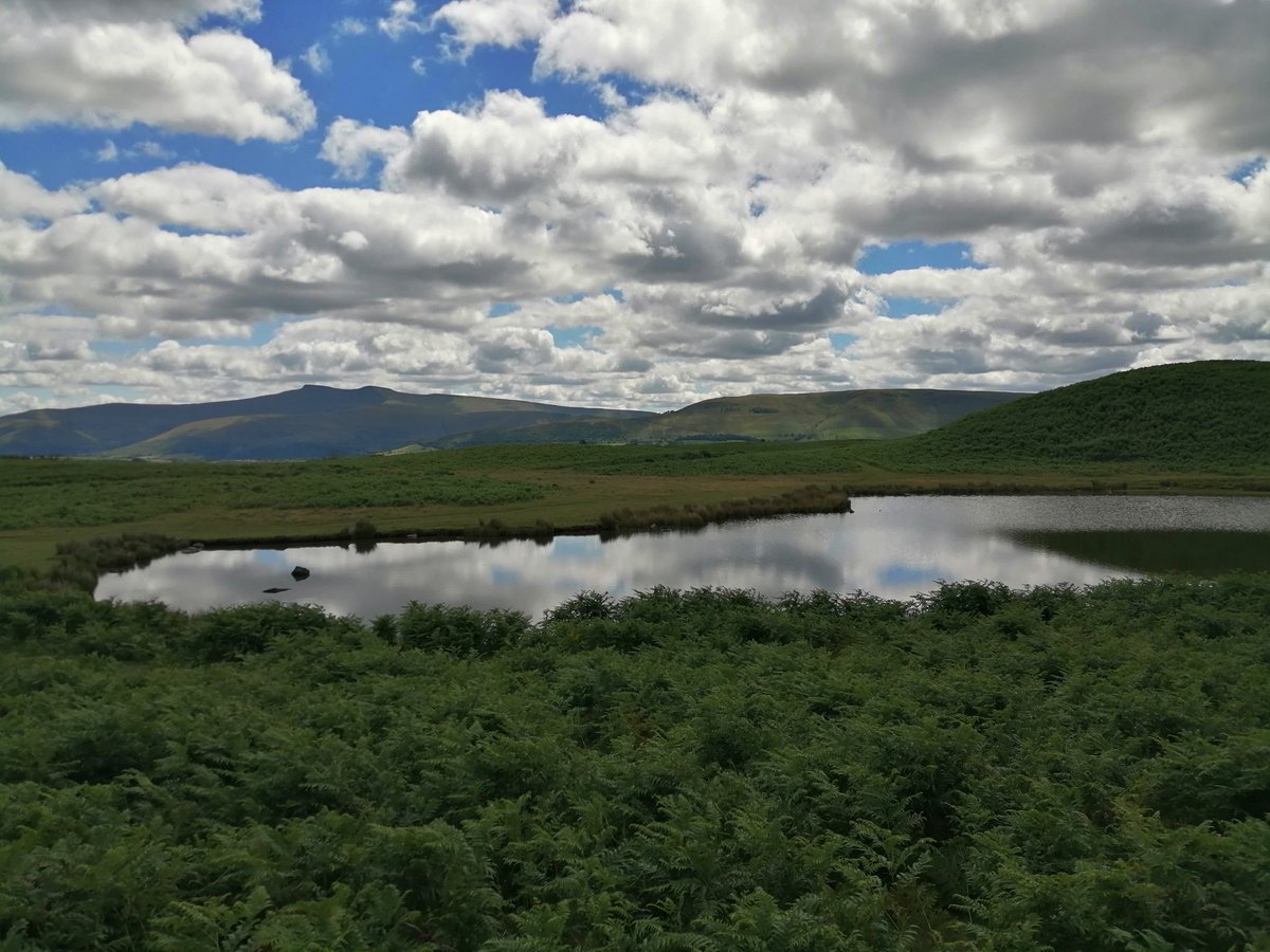 Martin Whittaker tweet media