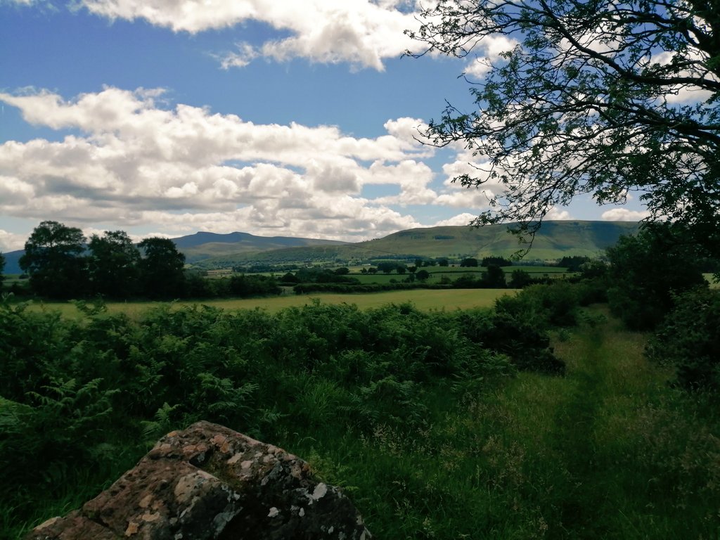 Martin Whittaker (@smoggiewalks) on Twitter photo Cefn Llechin- avoiding the crowds #explorelocal #discoverlocal #lesserwalkedpaths #breconbeacons #geocaching <a href="/DerekTheWeather/">Derek Brockway - weatherman</a> <a href="/OrdnanceSurvey/">Ordnance Survey</a> <a href="/MidWalesMyWay/">Mid Wales My Way</a> <a href="/LiveGeocaching/">Geocaching Live</a> Cefn Llechin- avoiding the crowds #explorelocal #discoverlocal #lesserwalkedpaths #breconbeacons #geocaching <a href="/DerekTheWeather/">Derek Brockway - weatherman</a> <a href="/OrdnanceSurvey/">Ordnance Survey</a> <a href="/MidWalesMyWay/">Mid Wales My Way</a> <a href="/LiveGeocaching/">Geocaching Live</a>