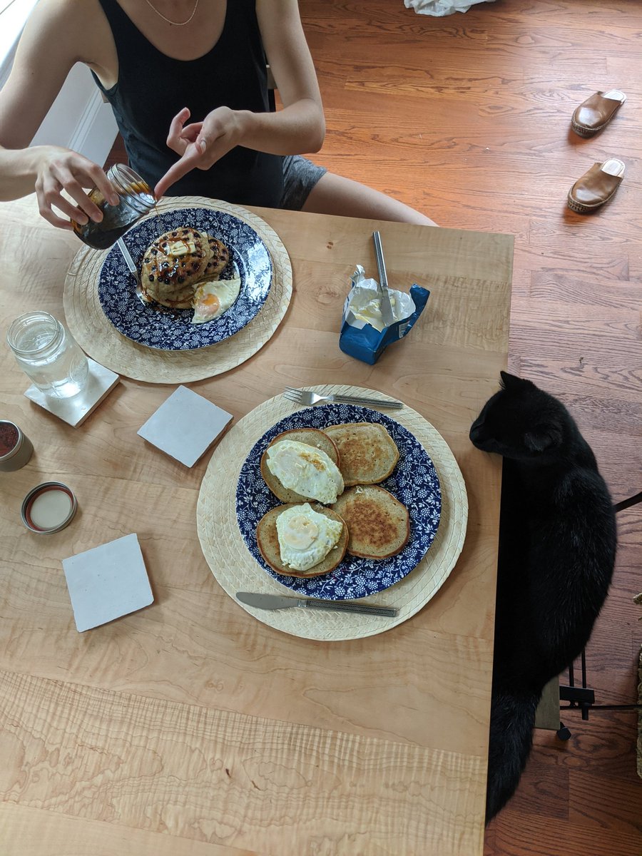 Squeak has been outside every morning and forgot about cat omelette until today. We have moved on to buckwheat pancakes, sorry squeak.