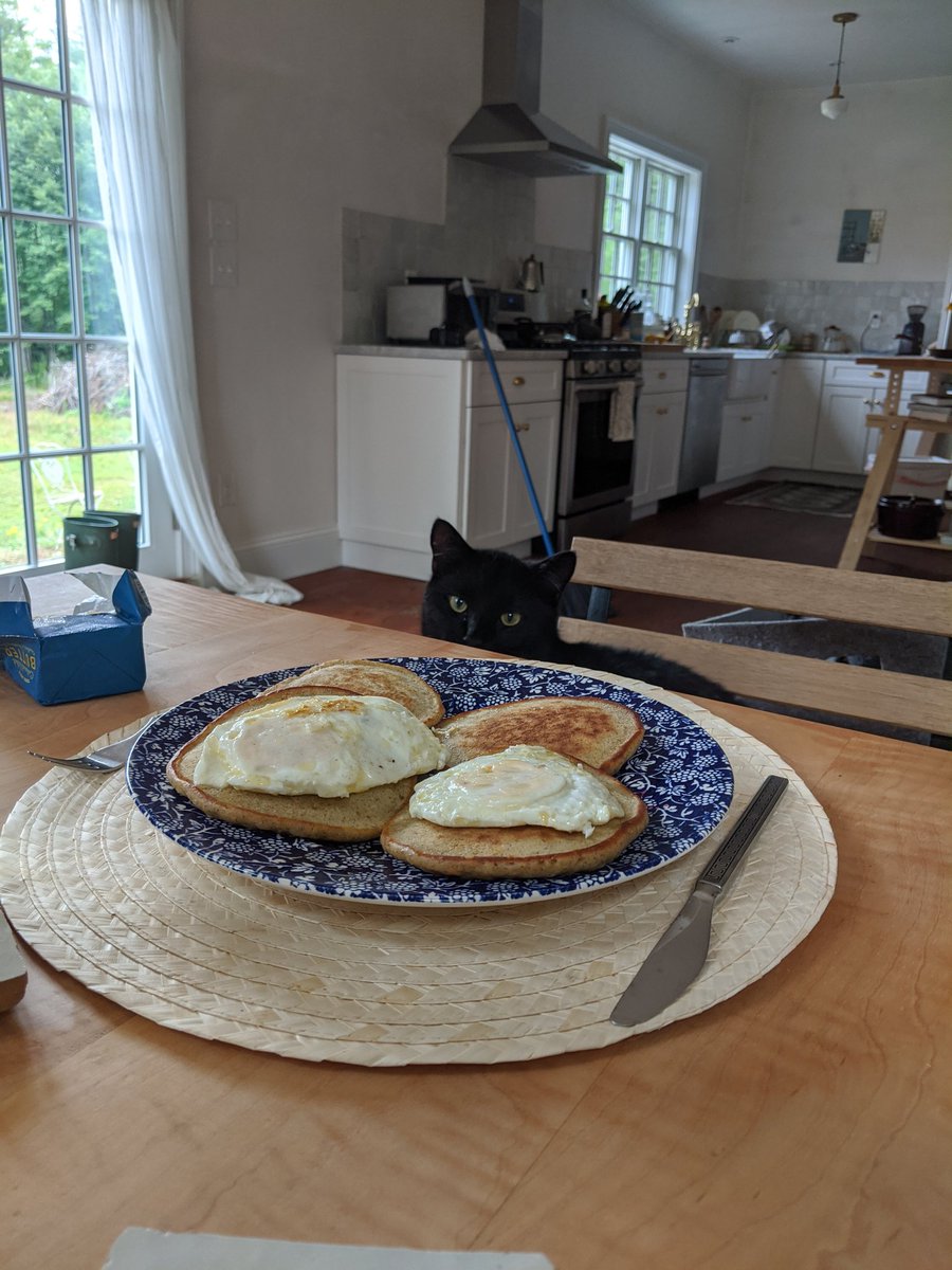 Squeak has been outside every morning and forgot about cat omelette until today. We have moved on to buckwheat pancakes, sorry squeak.