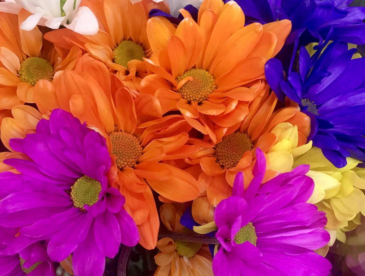 livewirelois's tweet photo. Happy Saturday Twitterworld 🙋‍♀️🧡V💗R💙 https://t.co/5LpQrpAB1u