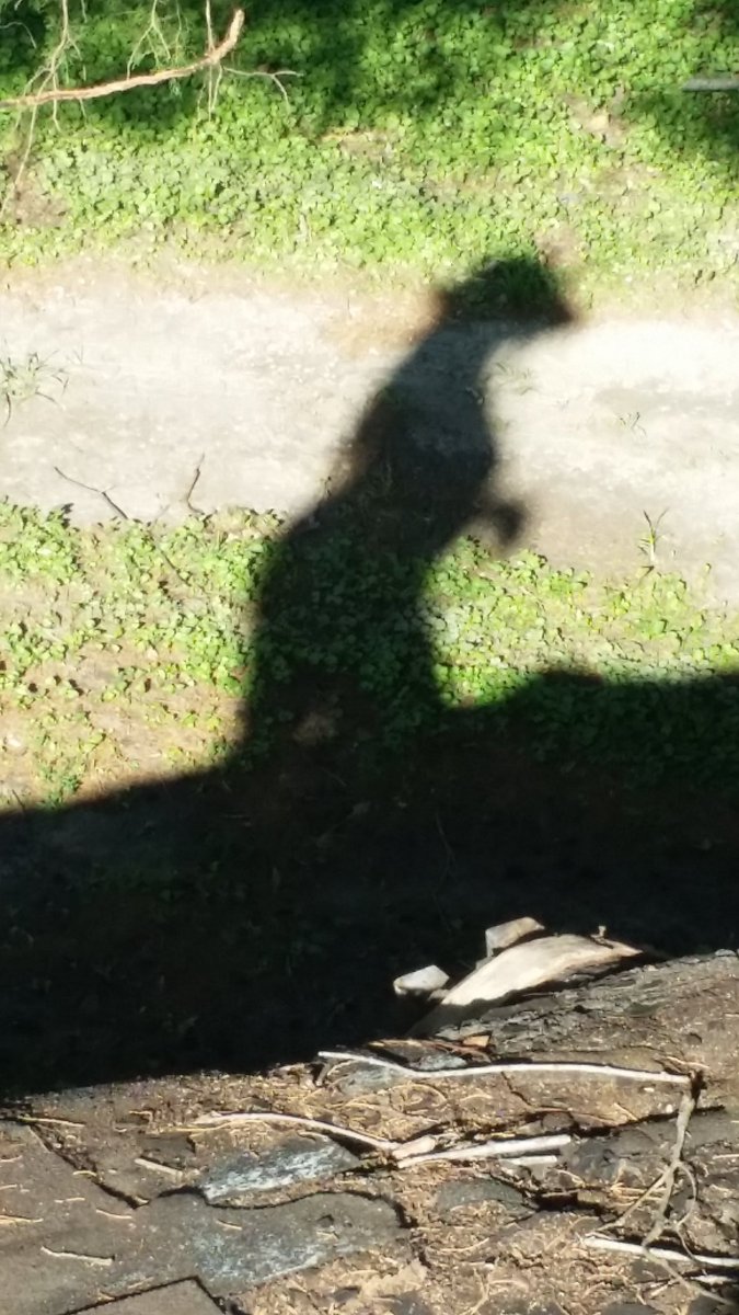 Under layer one is layer two!And my helper  @Docta_Jazz 