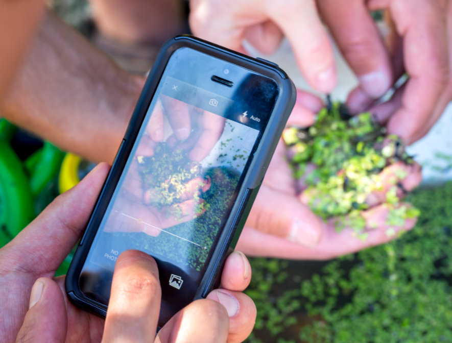 GulfIslandsNPR's tweet photo. #DYK all kinds of plants and animals live in YOUR very own backyard or neighbourhood park? 🎇 Record your nature findings in iNaturalist 📱, one of the world’s most popular citizen science apps. 🏡 #ParksHomeAdventure

https://t.co/iSizcgwLnu https://t.co/RkJi4UzQQr