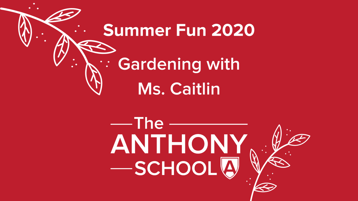AnthonySchool's tweet photo. Summer Fun! Join Ms. Caitlin as she shows us a surprise she found in the pollinator space at TAS: https://t.co/rfkMzW9sYZ #TAScommunity #TASoutdoorclassroom #TASstaff https://t.co/ErxpUWLLHJ