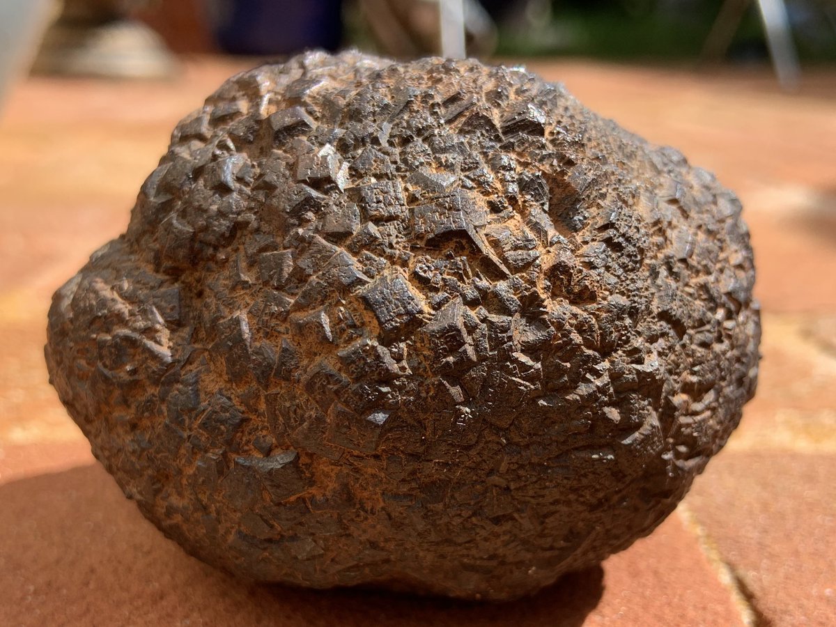neiljaynes70's tweet photo. Just the biggest piece of #pyrite I have found so far, weighs 600g. #geology #southdownsnationalpark #chalkdowns #Geek https://t.co/mt5vMDo8L6