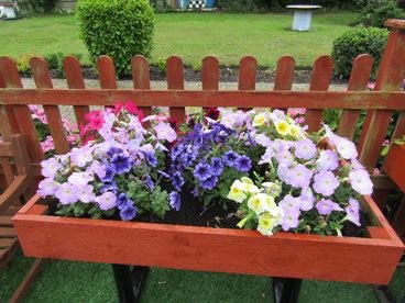 Wellbeing Care tweet media