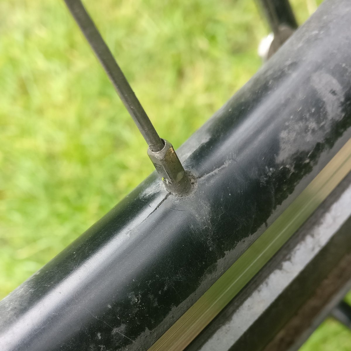 steven kealey orme tweet media